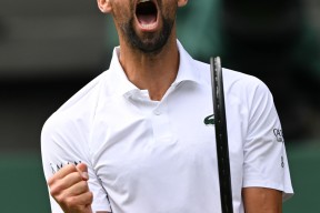 爱游戏-关于德约科维奇爆冷击败TL，赛况扑朔迷离引爆全场！的信息