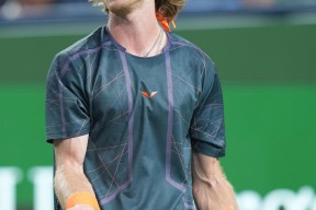 爱游戏-关于德约科维奇爆冷击败MAD，绝杀引爆全场！的信息